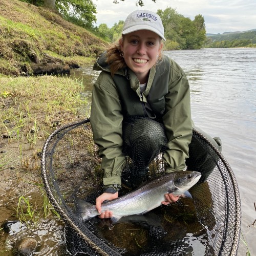 This young lady was part of a family fishing day on the River Tay and was shocked when this lovely Summer salmon took her fly at the March pool on the Kinnaird Beat of the River Tay near Pitlochry. Her mum, father & brother will also never forget witnessing the capture of this fine fish on the fly rod with all the added excitement a buckled fly rod brings.