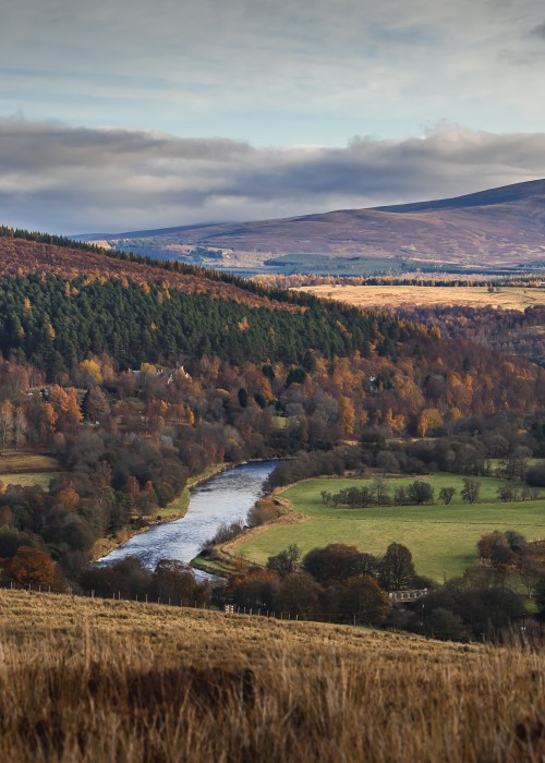 Here's a shot taken from the hill of the River Spey on the Tulchan Estate near Advie which is 20 minutes away from Grantown. This area of the Spey Valley has some of the finest salmon fly fishing water.