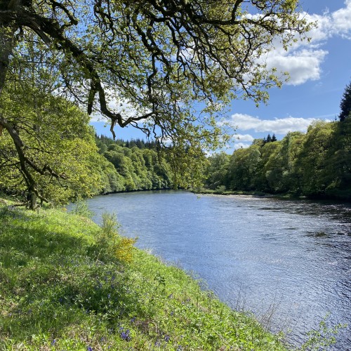 The River Tay