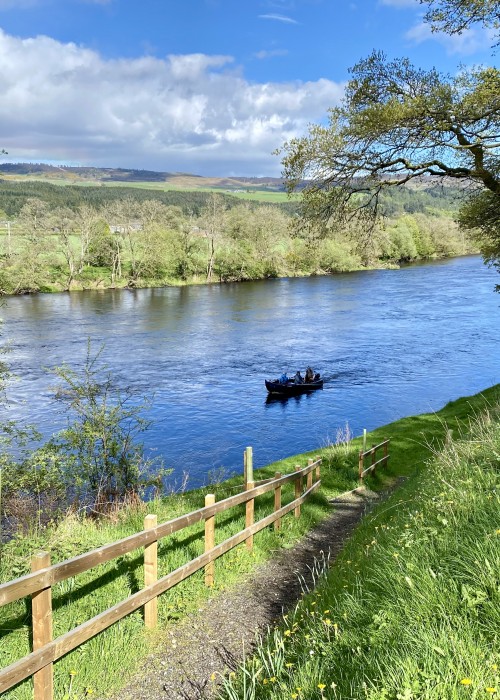 Here's the Head Ghillie on the Kinnaird Beat bringing our guided fishing guests back up to the fishing hut at 5pm after a full day out on the Tay. Look at the amazing Springtime riverbank scenery in this perfect shot.