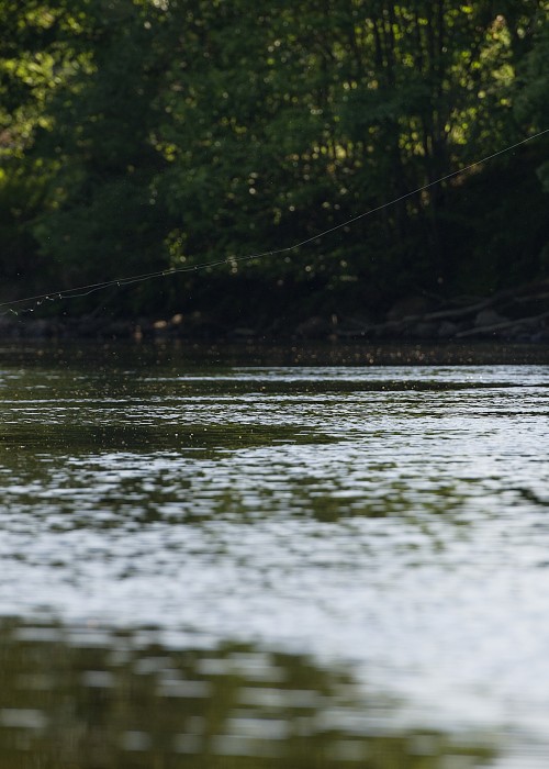 As a professional salmon fishing guide I can assure you there's just as much tactical salmon pool water coverage planning involved in spin fishing as there is with fly fishing. This River Tay spin fisher in the shot was powering out a lure as this picture was taken at Dunkeld in Perthshire.