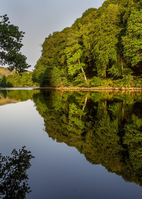 There's Northern pike to be found in the deeper slower moving pools of the middle River Tay between Dunkeld & Pitlochry. Pike prefer the deep pools where there isn't much flow and sometimes they'll have a go at the salmon angler's lures too.