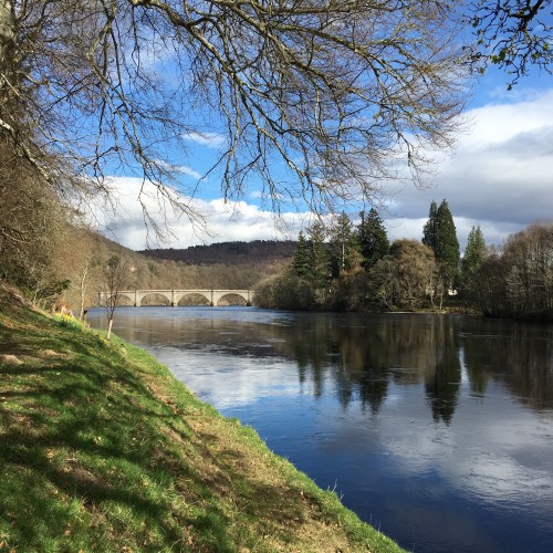 This is the perfect Gauge Tree salmon pool on the Dunkeld House Beat of the River Tay. This is a great salmon lie as running fish nose in here for a breather after pushing up through the fast water under the Dunkeld Telford Bridge in the distance.