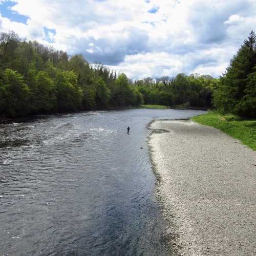 Perfect Summer fly fishing water conditions is what you can see in this photograph of the River Tweed near Galashiels. If you had to draw the perfect salmon pool and gravel riverbank this would be it on the Upper Dryburgh salmon beat.
