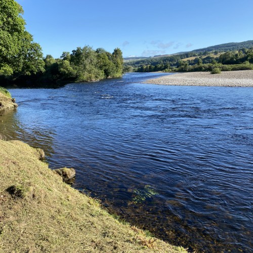 Look at this perfect shot taken at the March Pool of the River Tay's Kinnaird Beat during the most glorious late May day. Dream fishing condition like this always makes me reach for my camera to capture the moment as was the case here.