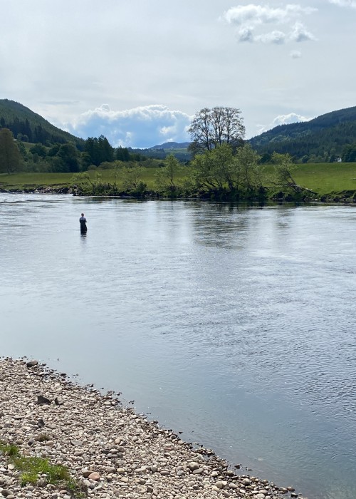 This is a great tactical ambush area for briefly stopping running salmon that nose into the deep channel which is located directly across from these 2 salmon anglers. Salmon love to stop here after powering up through the fast water at the neck of The Summer House Pool below.