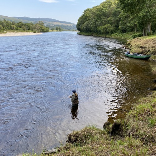 A Salmon Fisher On The River Tay