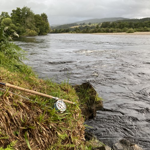 There a few extra feet of water coming dow the River Tay in this photograph. When the Scottish rivers are high like this all you need to do is work the river margins with a short controlled salmon fly as that's where the salmon will be holding and not out in the torrent. This shot was taken near Pitlochry in the River Tay Valley.