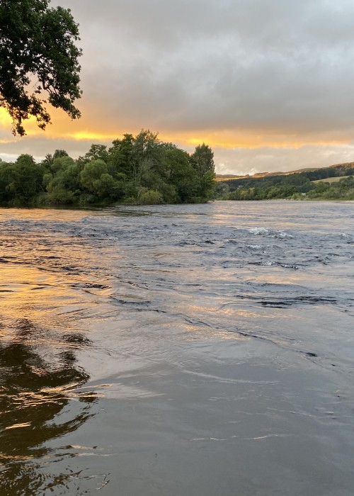 The calm water in the little bay to the left of frame is where you can expect to locate salmon when the river is high like this. This shot was taken opposite the River Tummel mouth on the River Tay near the Perthshire towns of Pitlochry & Dunkeld.
