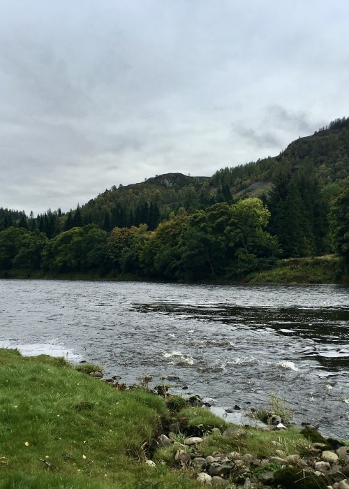 Look at the high water powering downstream in this flood picture of the River Tay at Dunkeld. When the Scottish rivers are like this salmon are pushed into the river margins and can still be caught if you exercise some stealth by keeping well back from the edges.