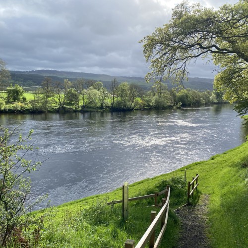 This is the grass bank walkway from the Upper Kinnaird salmon fishing hut down to the River Tay where the boats are kept. There's also an excellent salmon lie in this shot where you see that riffled water slightly to the right of frame and approx 20 yards out from the riverbank. This perfect salmon lie is called Daffodil Lie.