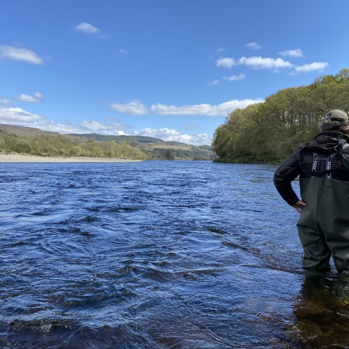 This is an amazing picturesque salmon fishing scene from the middle area of the famous River Tay between the Perthshire towns of Pitlochry & Dunkeld. The river is running a bit higher than normal in this shot but to my eye it looks a certainty there's a salmon holding at the inside edge of this heavy stream just to left left of the salmon fly fisher's elbow and about 30 yards downstream. Do you see the salmon lie? To my osprey eye it's as clear as daylight.