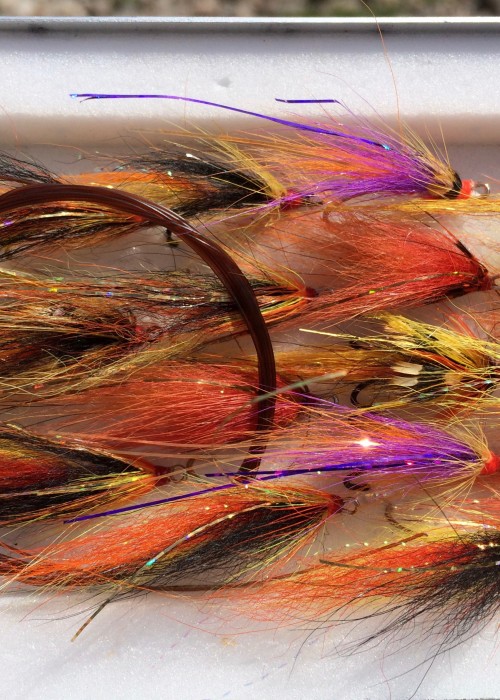 This fly box is loaded with lots of little Atlantic salmon surprises! The purple winged fly was one I was designing several years ago when this shot was taken. It had an almost instant reaction when tied on and fished over Summer resident salmon after these salmon had seen all of the normal fly patterns. Sometimes salmon fly selection is a psychological game of opposites!