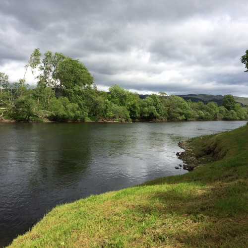 The slower deeper moving stretches of the River Tay upstream of the River Tummel/Tay confluence often produce pike as these fish prefer this type of water much more that streamy salmon fly water. I've seen pike landed by salmon fishers up to 20lbs in weight however they are a rare occurrence compared to catching salmon on the Tay.