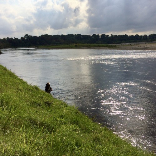 Look at this for salmon fly fishing perfection. This is the tail section of the lovely Gean Tree salmon pool near the Perthshire village of Murthly. Soon after this shot was taken the angler landed a Summer salmon and as I took this photograph I fully expected him to do just that.