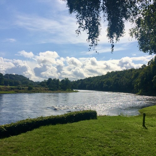 What a great view looking down the tail of the 'Cottar Pool' onto the 'Boil Pool' then in the far distance the 'Steps Pool'. Amazing professional career memories flood back when I look at this reoccurring River Tay dream scene!