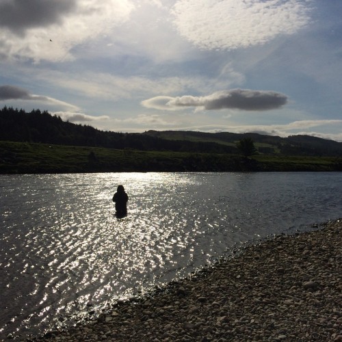 Here's a stunning light shot taken at the mid section of the Kinnaird Beat's Guay Pool near Dunkeld which is a great taking area. This River Tay salmon fisher is bathing in these sunbeams and must have enjoyed his exposure to the amazing flowing energy of the Tay that day.