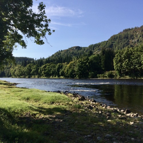 Here's a picture postcard shot looking down onto the tail of The Trap Pool and onto the Cottar Pool on the Newtyle salmon beat of the River Tay. The dark glassy water at the tail of The Trap is indeed a serious salmon fishing hot spot.