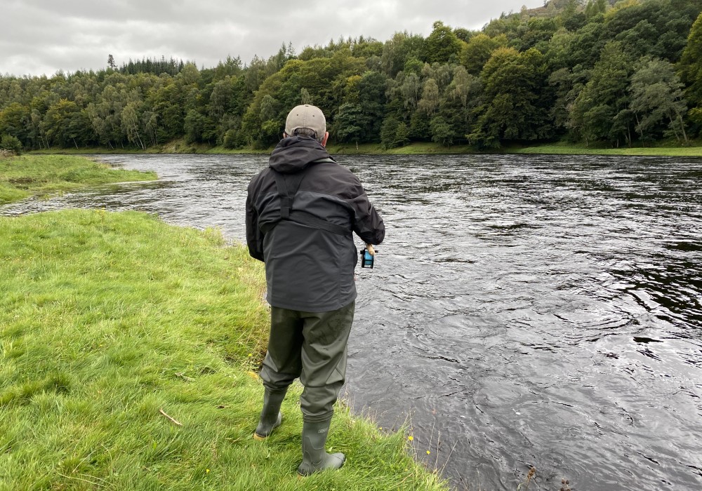 This is a great part of the huge Cottar Pool on the Newtyle Beat which can easily be fished from the grass rather than having to get into the river. Salmon sneak right up along this green grassy bank at the tail of this salmon pool (shown here) and are often hooked a yard or so from the grass.