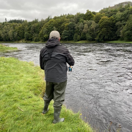 This is a great part of the huge Cottar Pool on the Newtyle Beat which can easily be fished from the grass rather than having to get into the river. Salmon sneak right up along this green grassy bank at the tail of this salmon pool (shown here) and are often hooked a yard or so from the grass.