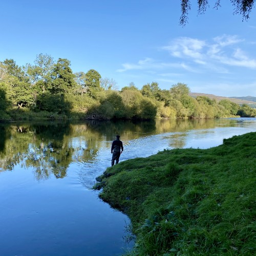 The amazing beauty of the Tay Valley is perfectly displayed here at the neck of the Channel Pool looking downstream to the gravel riverbank in the far distance which is where the River Tummel enters the Tay. This salmon spin fisher had come all the way from Italy to fish the Tay for salmon.