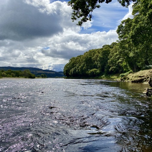 You can clearly see the sub surface riverbed stones commotion in the foreground. The broken water 20 yards behind the commotion is a great salmon lie as these stones break the flow. You can see the dark glassy patches marking the salmon lie. This is the March Pool near Dunkeld on the River Tay.