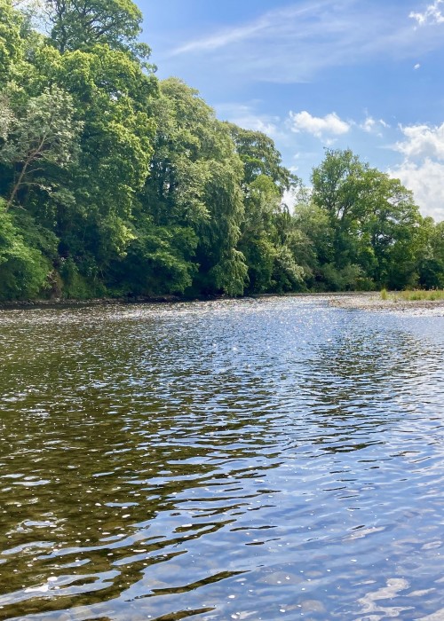 Here's a lovely low water Summer shot of the River Tweed near Galashiels. Look at the amazing scenery in this area of the Tweed Valley which is a firm favourite for our visiting Tweed salmon fishers.