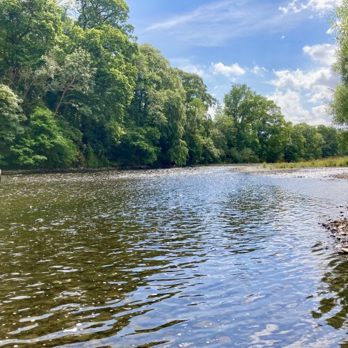 Here's a lovely low water Summer shot of the River Tweed near Galashiels. Look at the amazing scenery in this area of the Tweed Valley which is a firm favourite for our visiting Tweed salmon fishers.