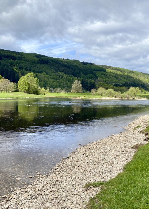 This is a perfect salmon pool and a natural holding pool for River Tay salmon. This is the Glide Pool on the Dalmarnock salmon beat near Dunkeld in May. This shot of the Tay could almost be a picture postcard!
