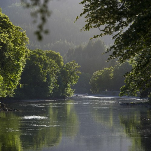 There's Northern pike to be found in the deeper slower moving pools of the middle River Tay between Dunkeld & Pitlochry. Pike prefer the deep pools like this one on the Dunkeld House Beat near Dunkeld.