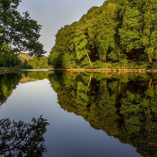 There's Northern pike to be found in the deeper slower moving pools of the middle River Tay between Dunkeld & Pitlochry. Pike prefer the deep pools where there isn't much flow and sometimes they'll have a go at the salmon angler's lures too.