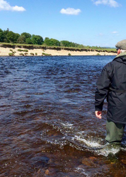 Look at the big seam of disturbance this salmon fisher has created which puts any salmon holding at the neck of this River Tay salmon pool on red alert! Staying back and making little disturbance when you're in a fast stream like this is much more tactful. This is the Garden Stream Pool near the Perthshire village of Murthly.