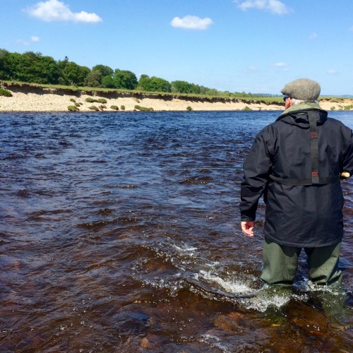 Look at the big seam of disturbance this salmon fisher has created which puts any salmon holding at the neck of this River Tay salmon pool on red alert! Staying back and making little disturbance when you're in a fast stream like this is much more tactful. This is the Garden Stream Pool near the Perthshire village of Murthly.