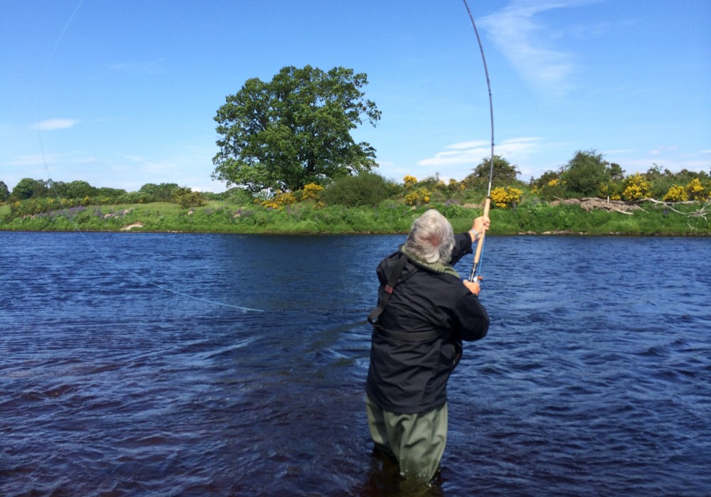 This is a tricky unnatural feeling cast for all right handed salmon fly fishers of which the vast majority of fishers are. Mastering the left hand Spey cast like what you see here is simply done by mental mirror cast duplication of what you've already taught your right hand to do! This Spey caster is performing this traditional Spey cast on the Oak Tree Pool (guess why!) of the River Tay near the village of Meikleour in Perthshire.