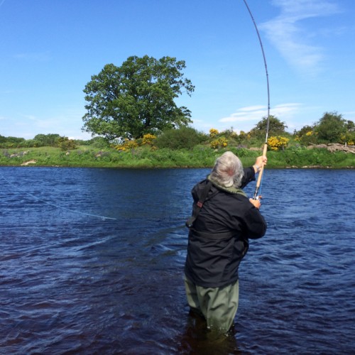 This is a tricky unnatural feeling cast for all right handed salmon fly fishers of which the vast majority of fishers are. Mastering the left hand Spey cast like what you see here is simply done by mental mirror cast duplication of what you've already taught your right hand to do! This Spey caster is performing this traditional Spey cast on the Oak Tree Pool (guess why!) of the River Tay near the village of Meikleour in Perthshire.