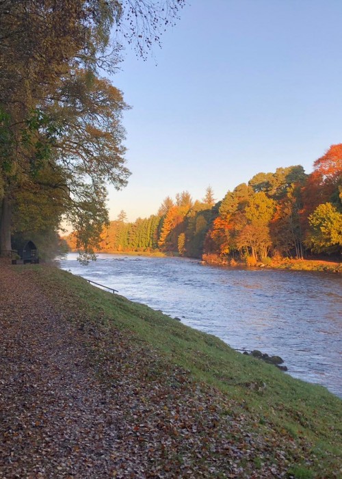 Here's the perfect Autumn riverbanks on the Banchory Beat's Jock Adams Pool in perfect Autumnal light conditions. The beautiful Banchory Lodge Hotel is only a few hundred yards downstream of where this fine River Dee photograph was taken from.