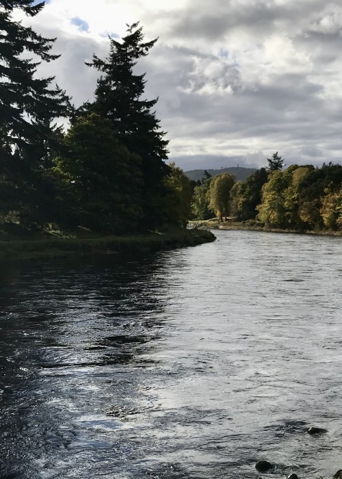 Here's a perfectly lit upstream shot looking into the productive 'Killing Hatch Pool' on the Invery & Tilquhillie salmon fishing beat near Banchory. Look at the lovely shimmer coming off the the top layer of water of the River Dee in this photograph.