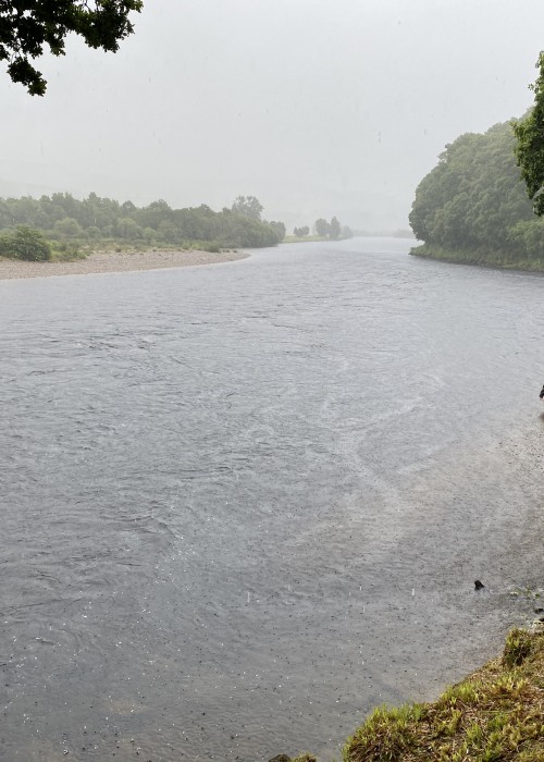 Don't worry as this River Tay fly fisher is fully clad with the best in salmon fisher waterproof clothing which we supply all guided salmon fishing guests with. The heavy rain here rose the river a foot within 24 hours and with it came a big run of salmon which were readily caught for a few days thereafter. This rainy shot was taken near Logierait in the Tay Valley which is 20 minutes from Dunkeld.