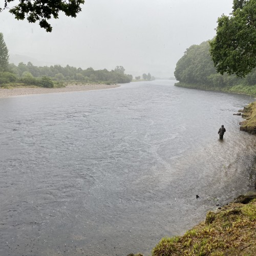 Don't worry as this River Tay fly fisher is fully clad with the best in salmon fisher waterproof clothing which we supply all guided salmon fishing guests with. The heavy rain here rose the river a foot within 24 hours and with it came a big run of salmon which were readily caught for a few days thereafter. This rainy shot was taken near Logierait in the Tay Valley which is 20 minutes from Dunkeld.