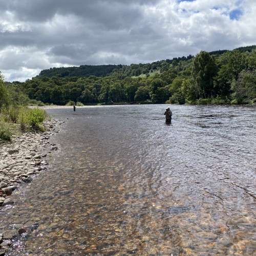 Here's 2 students testing out what they'd just been taught in a Spey casting lesson 20 minutes prior. You can see the river is up a foot as the light coloured sun bleached river bed stones are covered with water and hadn't darkened yet. This shot was taken at the Mike's Run Pool on Perthshire's River Tummel.