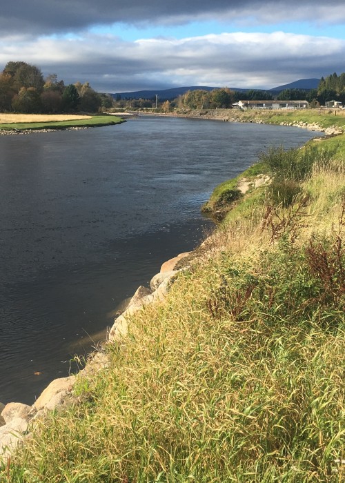 Here a shot of the Aboyne Water salmon beat which commences below the Aboyne Bridge. This salmon beat fishes well through the Spring and Summer but especially from July through to October when many salmon hold up in this area of the River Dee Valley.