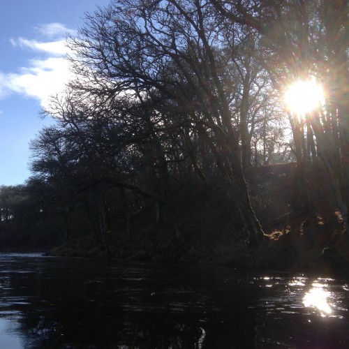 This fine early Spring photograph shows the flicker of sunlight shining through the leafless beech and oak trees on the River Tay on the Kinnaird Beat' Rock Pool near Dunkeld.