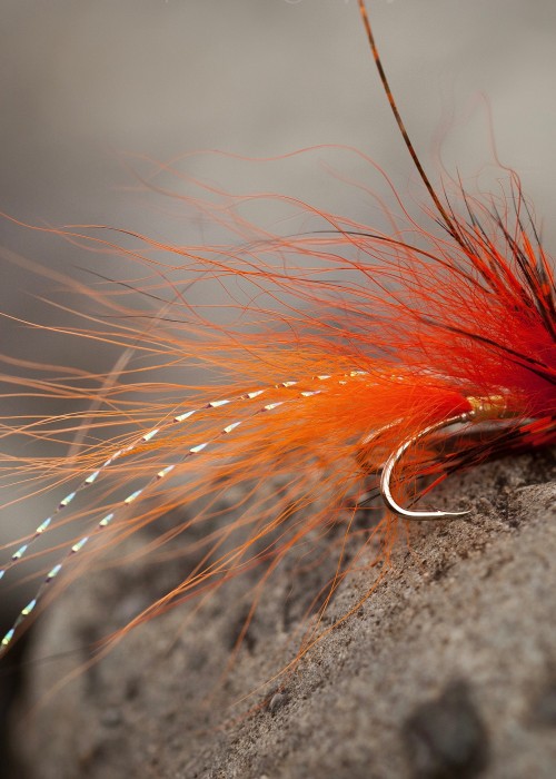 The Jock's Shrimp salmon fly is a self designed salmon fly pattern that was originally created to target late Summer & Autumn salmon on the River Tay while working as a Head Ghillie. This pattern is totally reliable as a salmon attractor and not only during the above initially intended fishing times.