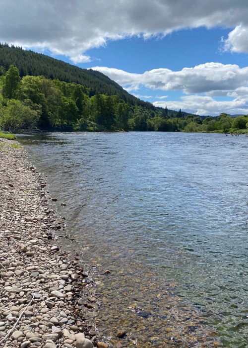 You need to be aware of how deep you should be fishing your fly throughout all of the different salmon fishing seasons & temperatures of the year. This fisher was fishing a 10ft 'type 3' sinking tip on the end of his floating mainline to sink his fly down a foot or so in the water column which is appropriate during May when this shot was taken.