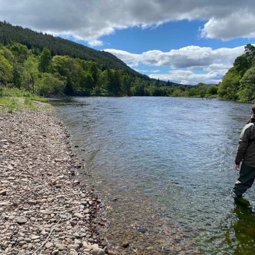 Salmon Fishing On The River Tay