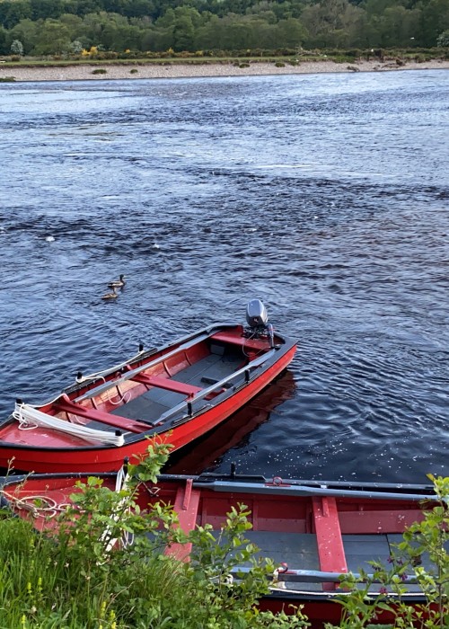 This is 2 of the traditional salmon fishing boats moored up at the Green Bank Pool on the Lower Kinnaird salmon fishing beat. These boats are a work of art and contribute significantly to the salmon fishing tactics required for success in this pursuit on big Scottish rivers like the Tay.