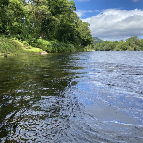 This is the perfect March Pool on the River Tay near Dunkeld. Look how our 'Salmon God' is spot lighting the exact riverbank casting position to make it easy to intercept one of his finest creations. Pay attention to the little signs or notions you experience on the riverbanks and this approach was taught to me 45 years ago by my late River Tay mentor & great friend Willie 'the ghillie Laird who used to refer to such things as 'the nudge'.