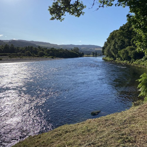 River Tay Salmon Fishing Pool