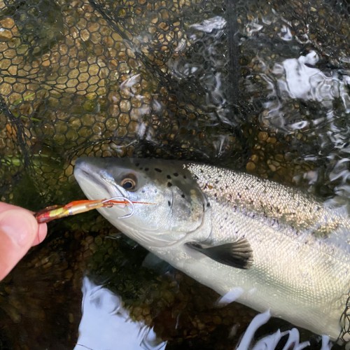 This salmon tube fly looks like nothing at all but if you place it in the river the water activates its fine Arctic fox tail fibres and it transforms into a life like creation. This is the Jock's Shrimp' salmon fly which is one of my most effective salmon fly patterns.