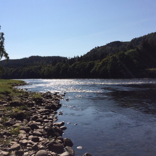 The dark shadowy water is a serious middle River Tay salmon lie called 'The Trap' which I created over 20 years ago while running this beat. Salmon that power up through the fast water below always stop here making it a great fishing spot for salmon anglers.